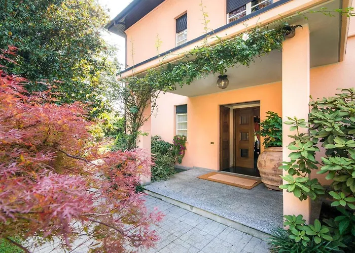 3 Tigli مازلِيانيكو