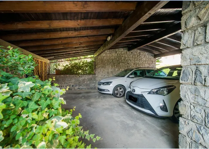 3 Tigli مازلِيانيكو